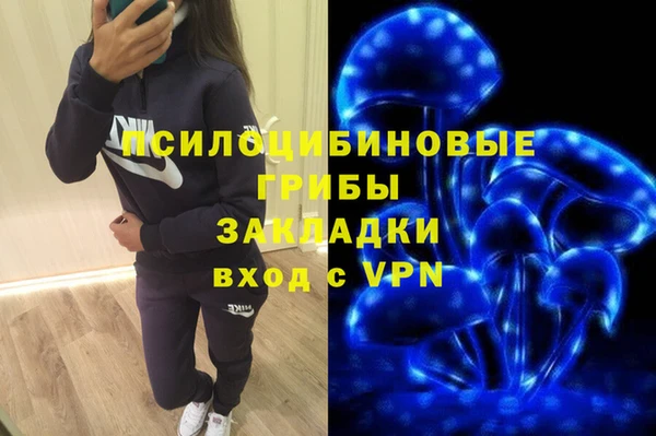 МДПВ Лагань