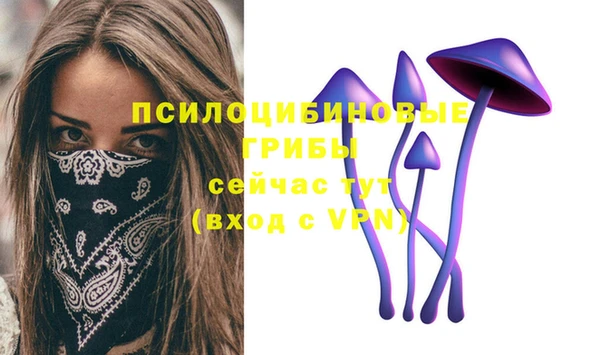 МДПВ Лагань
