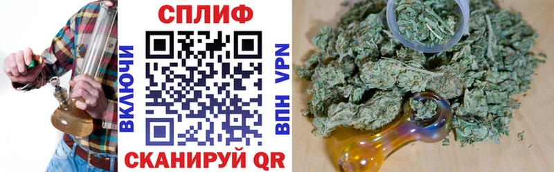 Канабис THC 21%  Купить закладки  Избербаш 